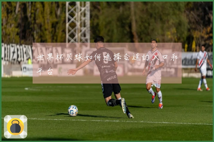 世界杯买球如何选择合适的入口和平台