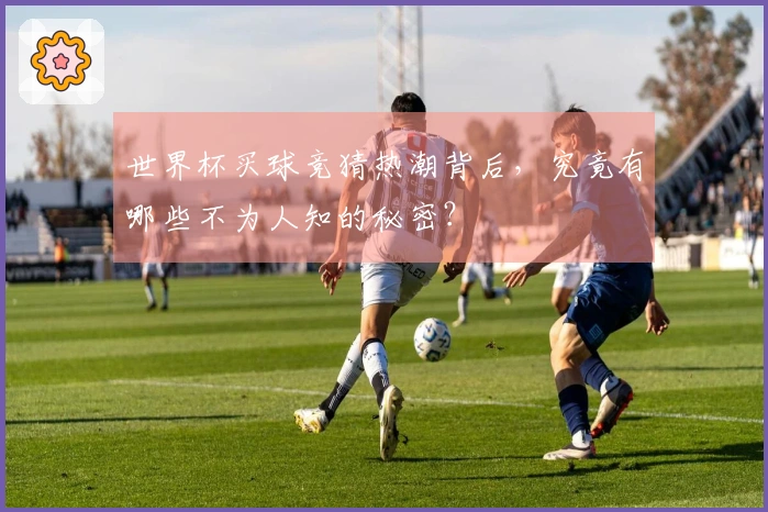 世界杯买球竞猜热潮背后，究竟有哪些不为人知的秘密？