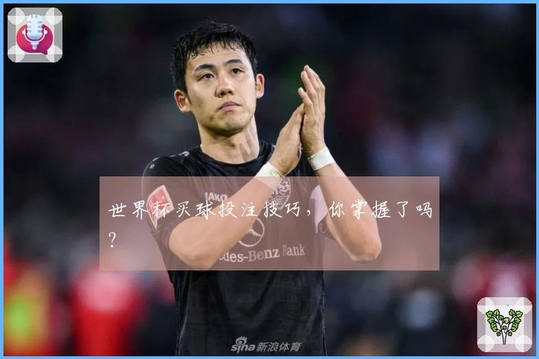世界杯买球投注技巧，你掌握了吗？