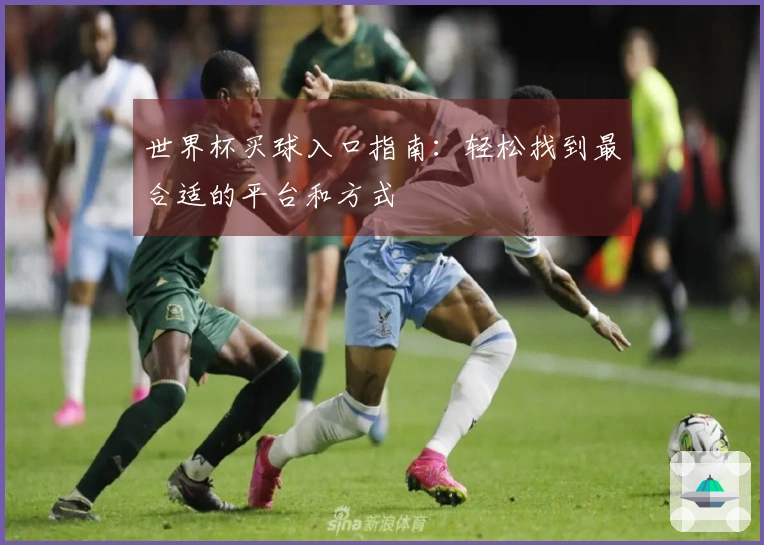 世界杯买球入口指南：轻松找到最合适的平台和方式