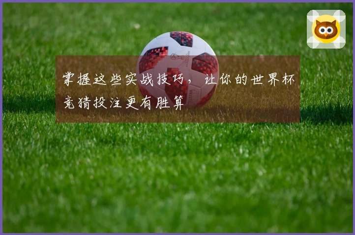 掌握这些实战技巧，让你的世界杯竞猜投注更有胜算
