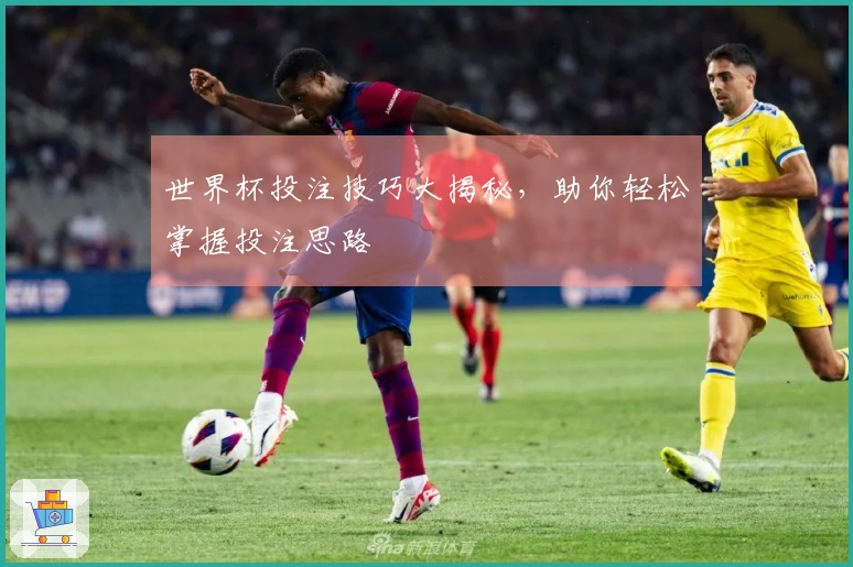 世界杯投注技巧大揭秘，助你轻松掌握投注思路